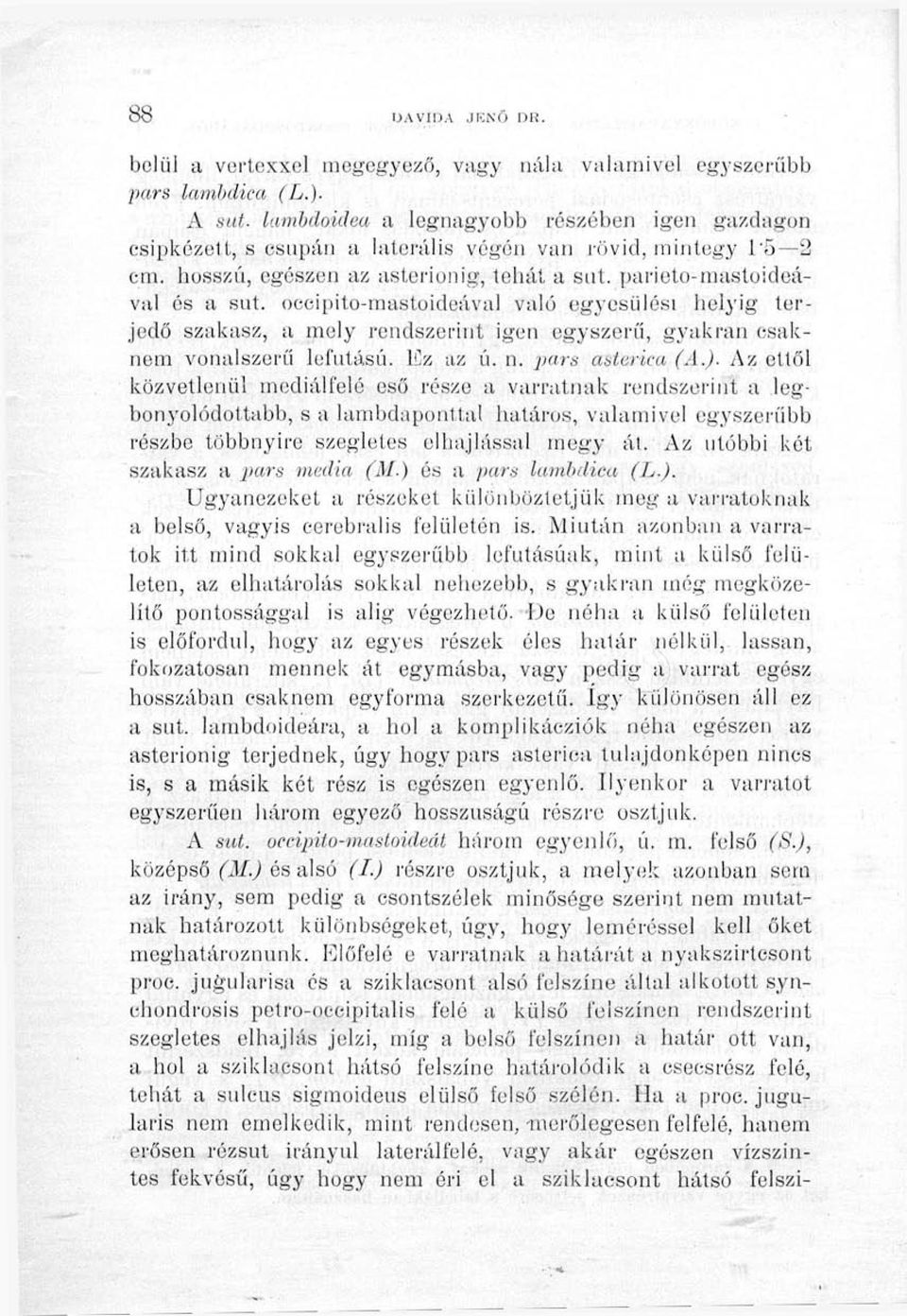 occipito-mastoideával való egyesülési helyig terjedő szakasz, a mely rendszerint igen egyszerű, gyakran csaknem vonalszerű lefutású. ICz az ú. n. pars aderica (A.).