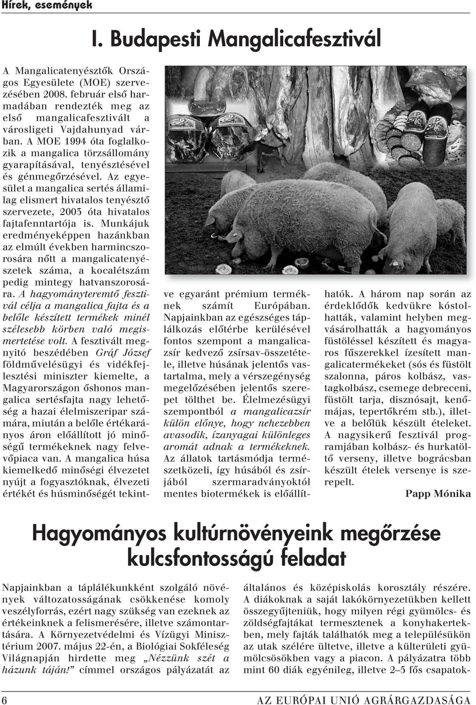 A MOE 1994 óta foglalkozik a mangalica törzsállomány gyarapításával, tenyésztésével és génmegôrzésével.