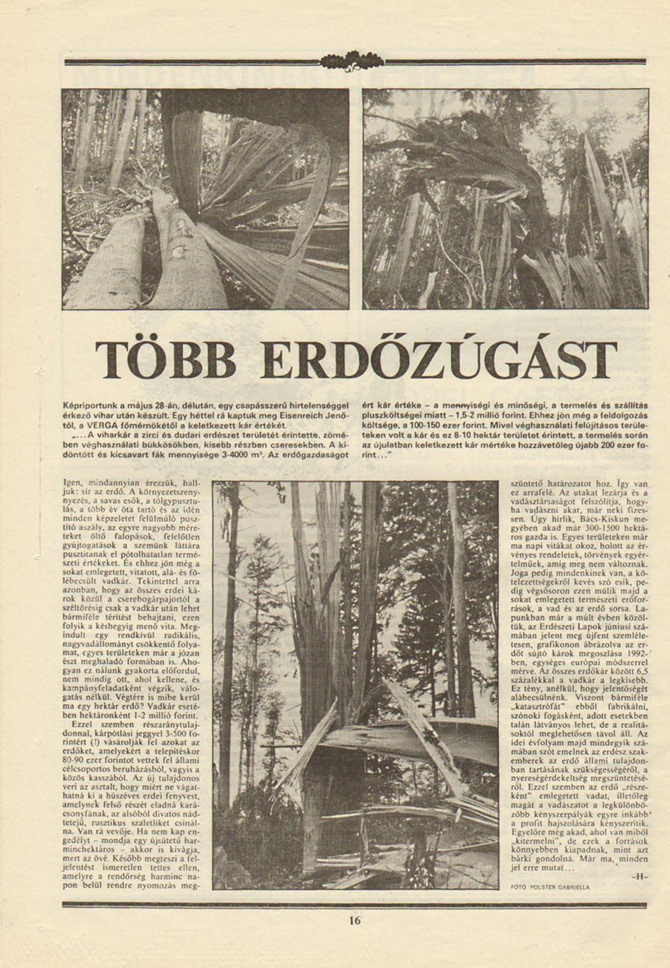 ... A vharkár a zrc és dudar erdészet terü leté t érntette, zöm é ben véghasználat bükkösökben, ksebb részben cseresekben.