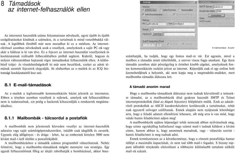 Ez a fejezet az internet-használat veszélyeinek és kockázatainak reálisabb felbecsülésében próbál segíteni. Kiderül, hogyan és milyen változatokban hajtanak végre támadásokat felhasználók ellen.