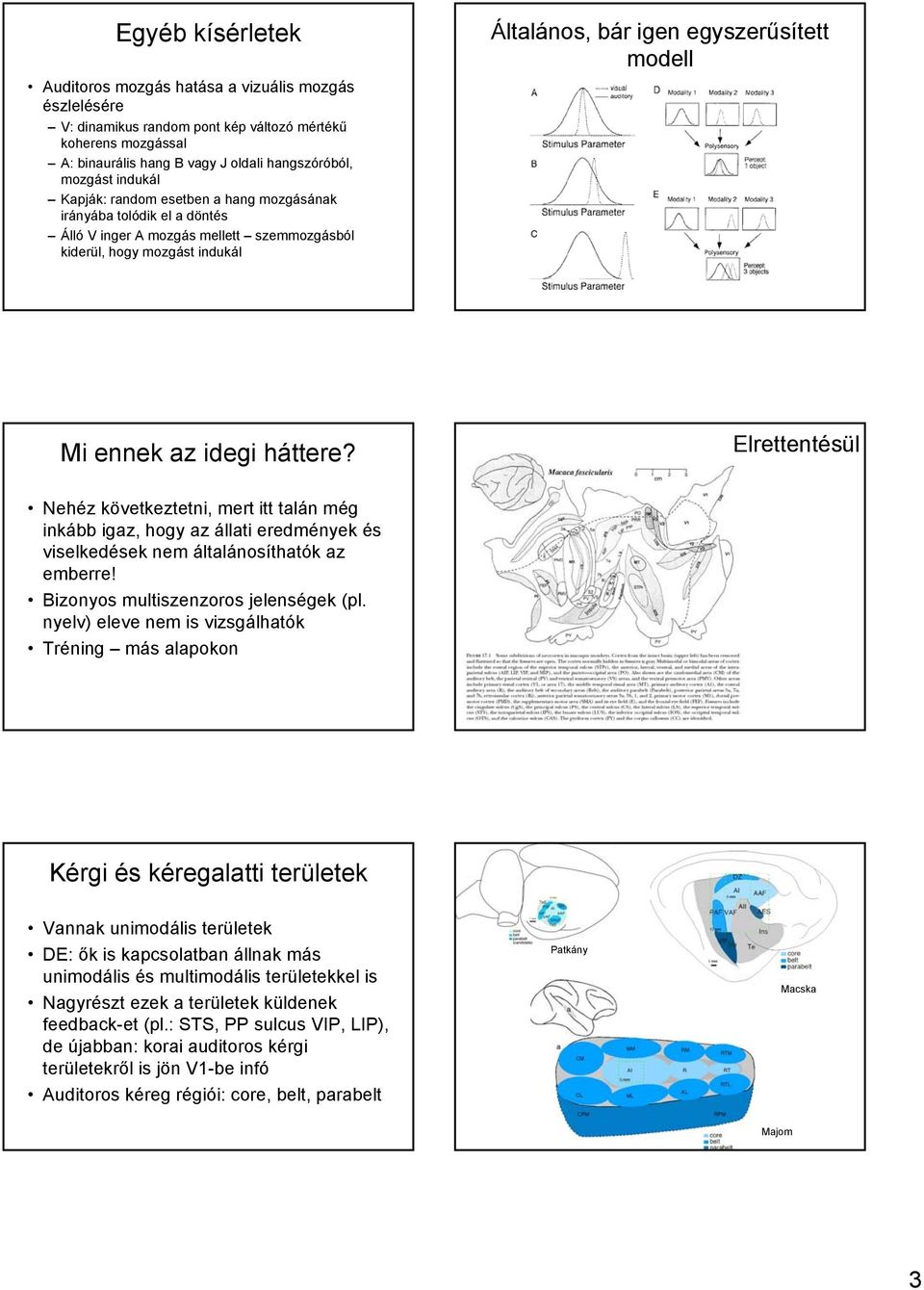 idegi háttere? Elrettentésül Nehéz következtetni, mert itt talán még inkább igaz, hogy az állati eredmények és viselkedések nem általánosíthatók az emberre! Bizonyos multiszenzoros jelenségek (pl.