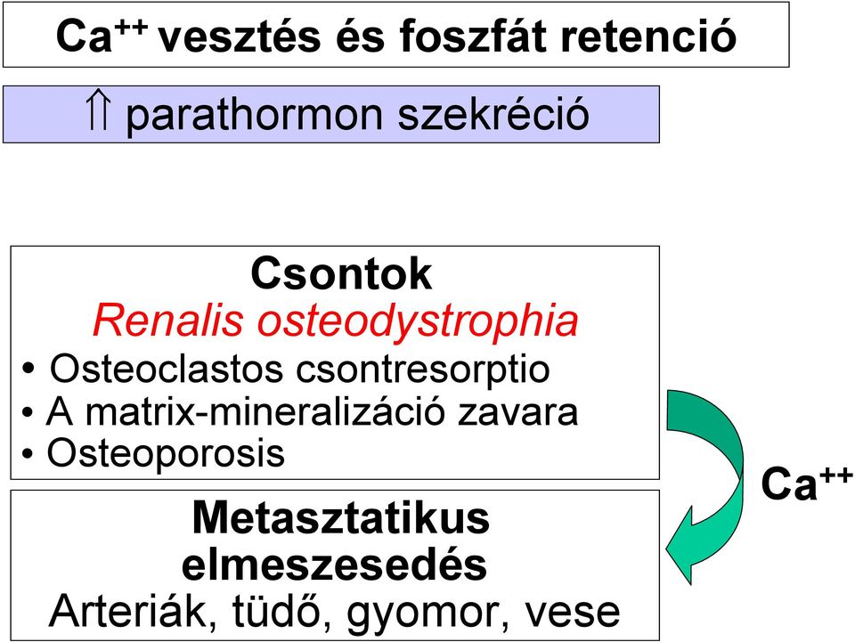 csontresorptio A matrix-mineralizáció zavara