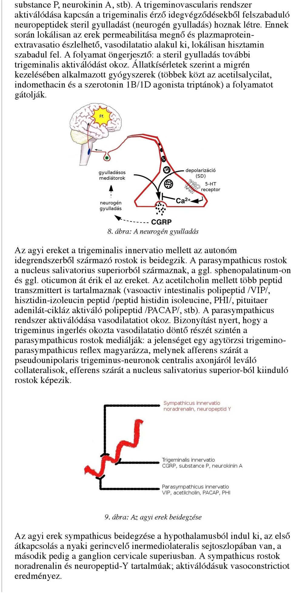 Ennek során lokálisan az erek permeabilitása megnő és plazmaproteinextravasatio észlelhető, vasodilatatio alakul ki, lokálisan hisztamin szabadul fel.