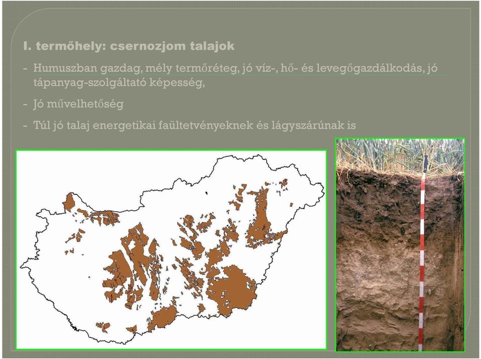 tápanyag-szolgáltató képesség, - Jó művelhetőség - Túl