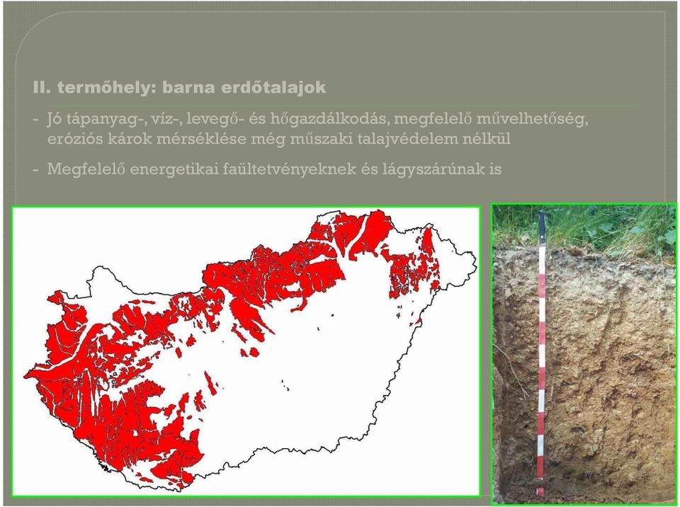 eróziós károk mérséklése még műszaki talajvédelem