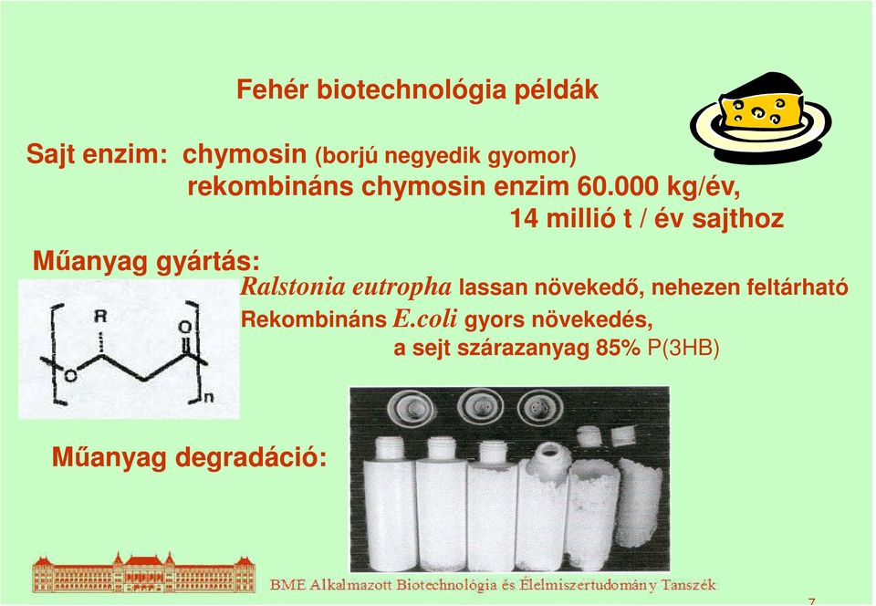 000 kg/év, 14 millió t / év sajthoz Műanyag gyártás: Ralstonia eutropha