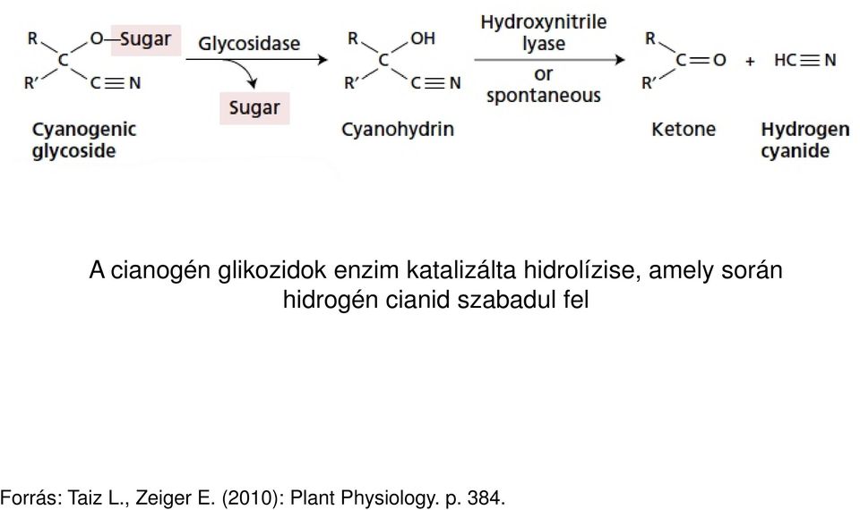 hidrogén cianid szabadul fel Forrás: