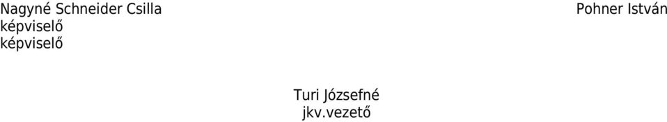 képviselő képviselő