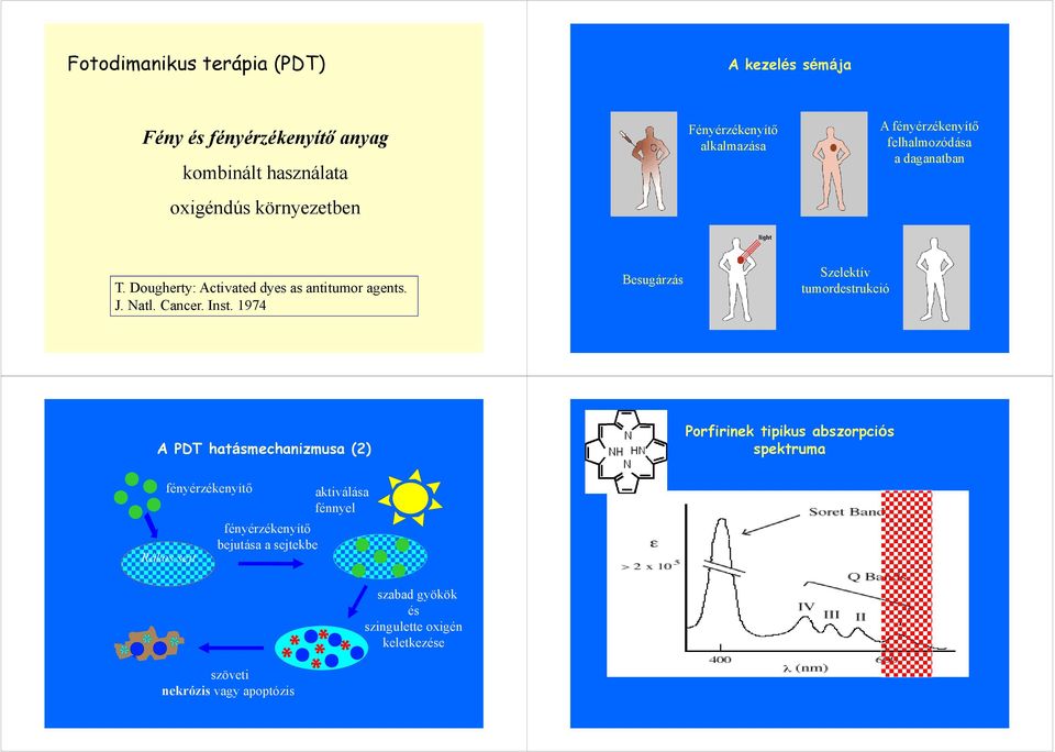 1974 Besugárzás Szelektív tumordestrukció A PDT hatásmechanizmusa (2) Porfirinek tipikus abszorpciós spektruma fényérzékenyítő