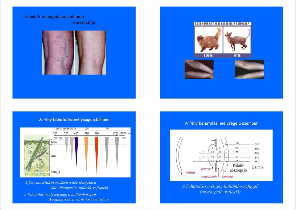 intenzitása csökken a bőr rétegeiben.