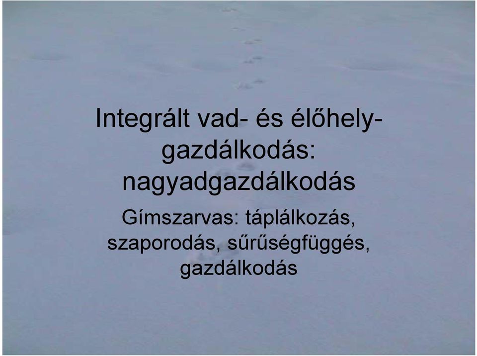 nagyadgazdálkodás Gímszarvas: