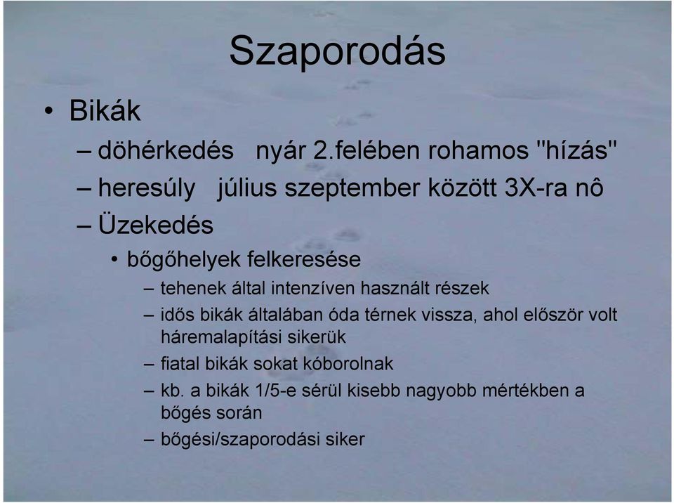 felkeresése tehenek által intenzíven használt részek idős bikák általában óda térnek vissza,