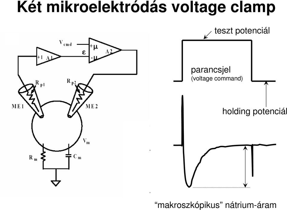 parancsjel (voltage command)