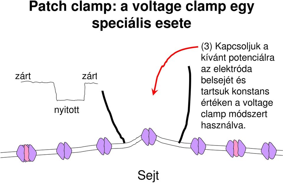 potenciálra az elektróda belsejét és tartsuk