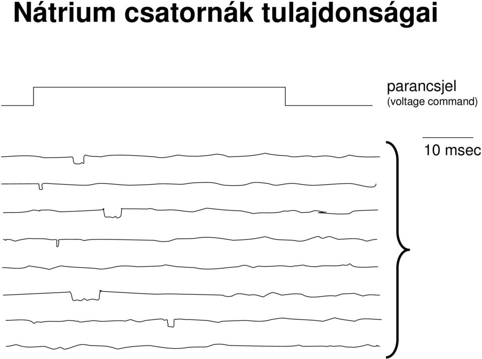 tulajdonságai