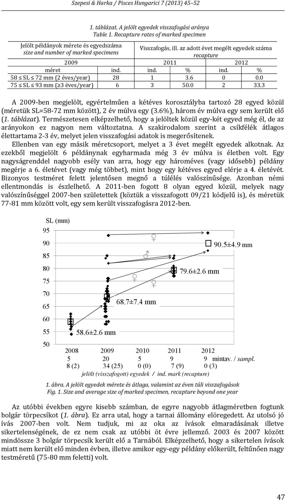 0 2 33.3 A 2009 ben megjelölt, egyértelműen a kétéves korosztályba tartozó 28 egyed közül (méretük SL=58 72 mm között), 2 év múlva egy (3.6%), három év múlva egy sem került elő (1. táblázat).