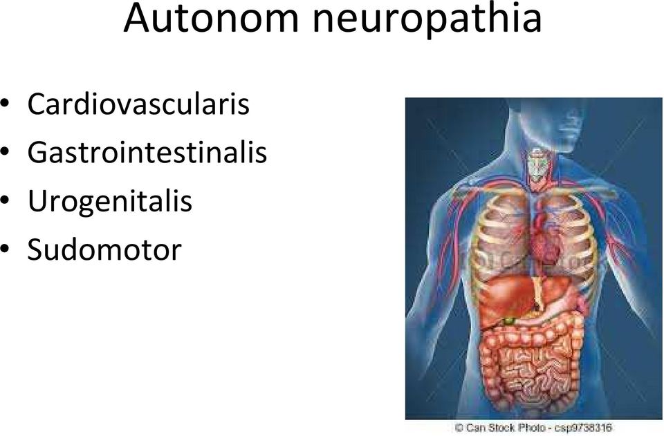 Gastrointestinalis