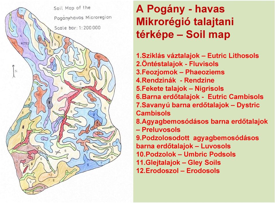 Barna erdőtalajok - Eutric Cambisols 7.Savanyú barna erdőtalajok Dystric Cambisols 8.