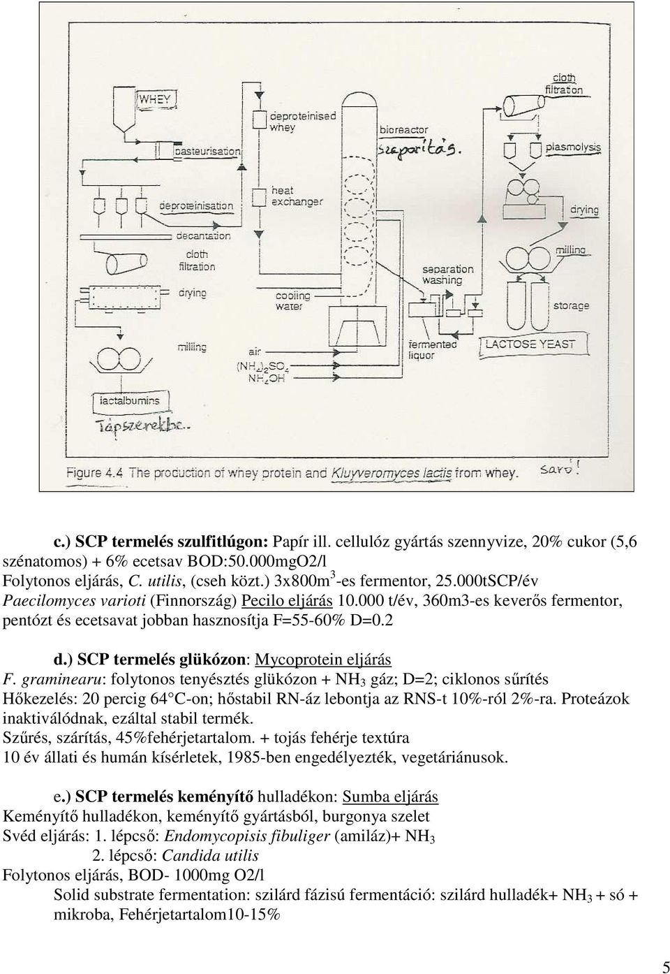 ) SCP termelés glükózon: Mycoprotein eljárás F.