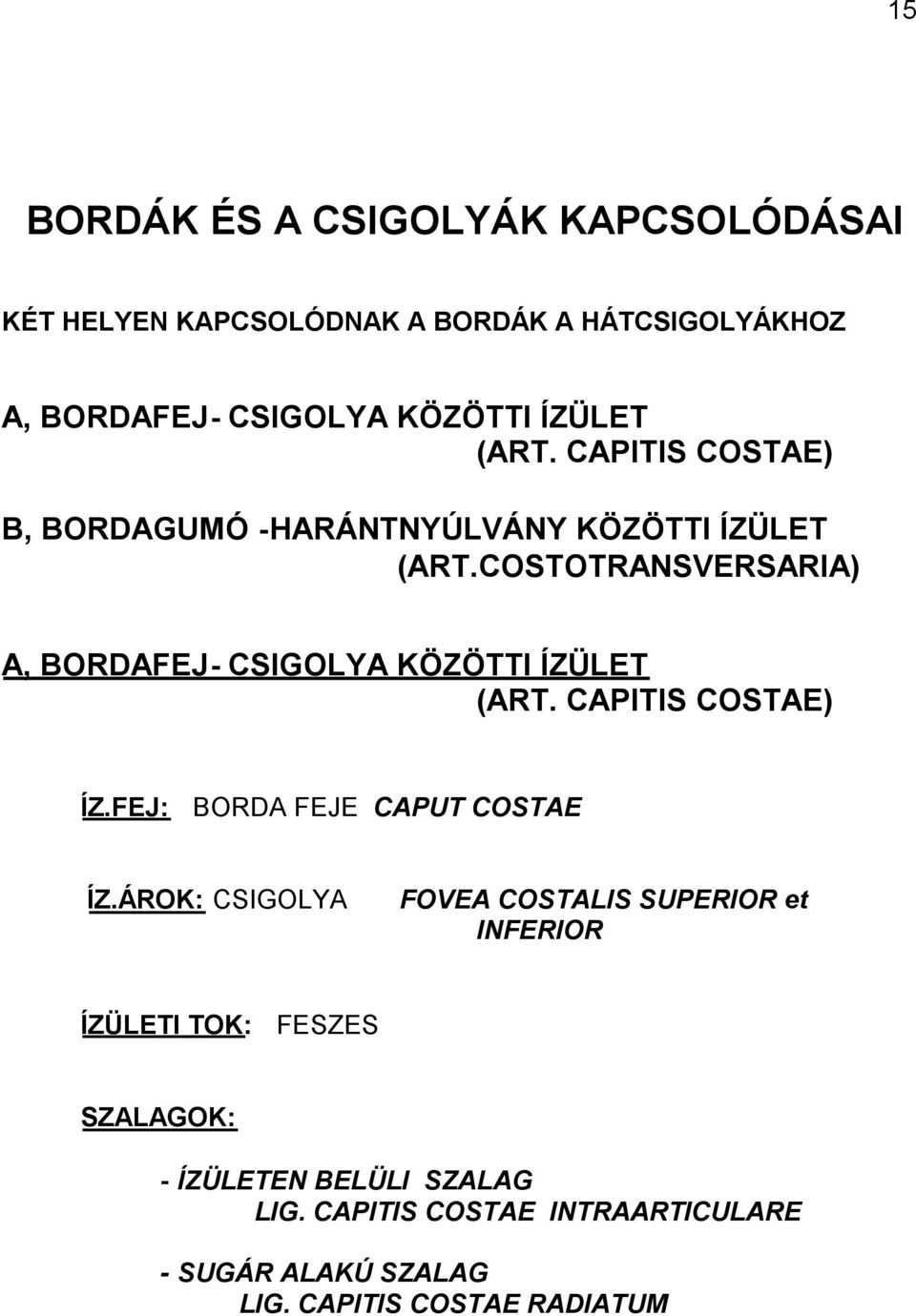 COSTOTRANSVERSARIA) A, BORDAFEJ- CSIGOLYA KÖZÖTTI ÍZÜLET (ART. CAPITIS COSTAE) ÍZ.FEJ: BORDA FEJE CAPUT COSTAE ÍZ.