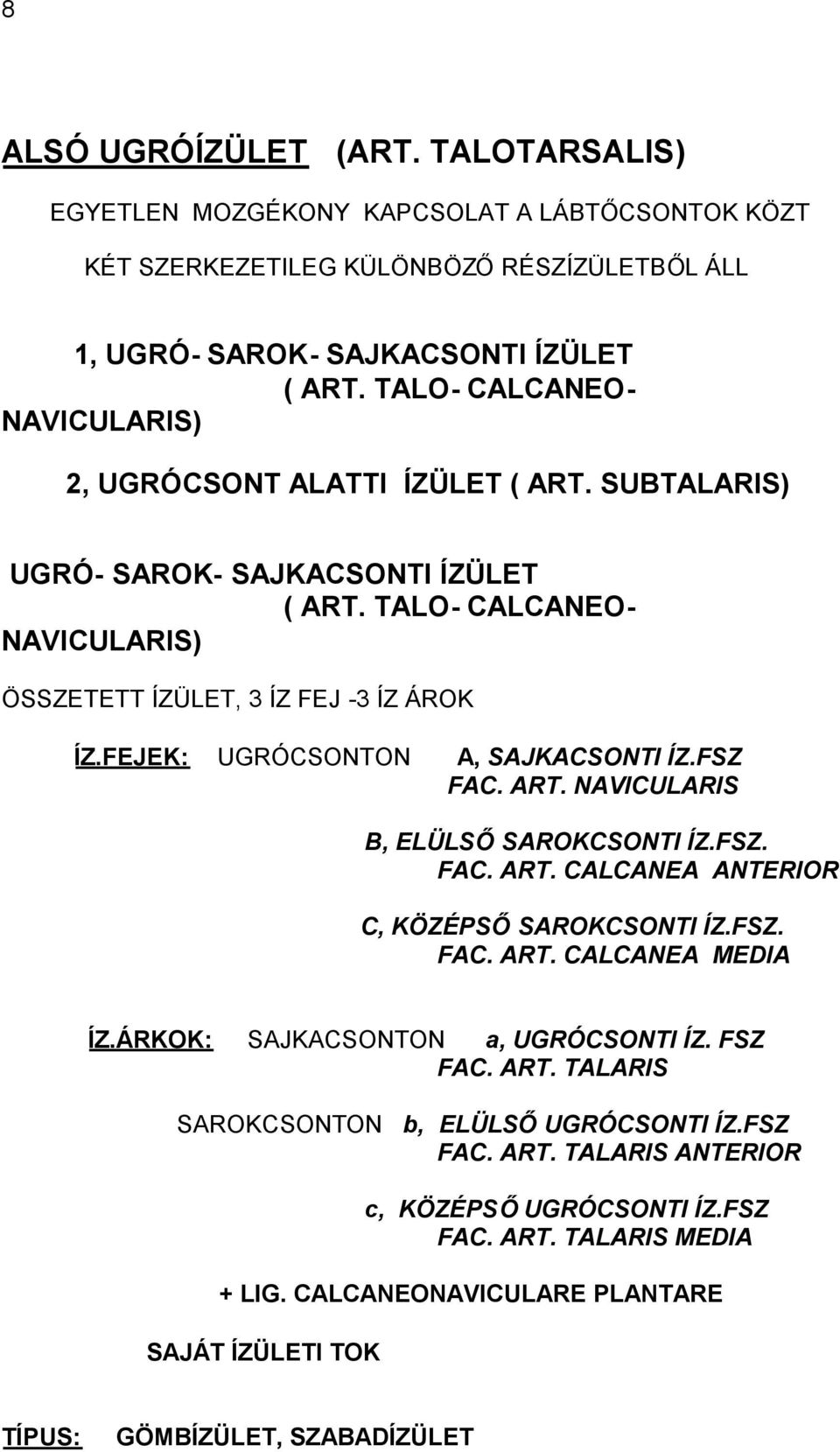 FEJEK: UGRÓCSONTON A, SAJKACSONTI ÍZ.FSZ FAC. ART. NAVICULARIS B, ELÜLSŐSAROKCSONTI ÍZ.FSZ. FAC. ART. CALCANEA ANTERIOR C, KÖZÉPSŐSAROKCSONTI ÍZ.FSZ. FAC. ART. CALCANEA MEDIA ÍZ.