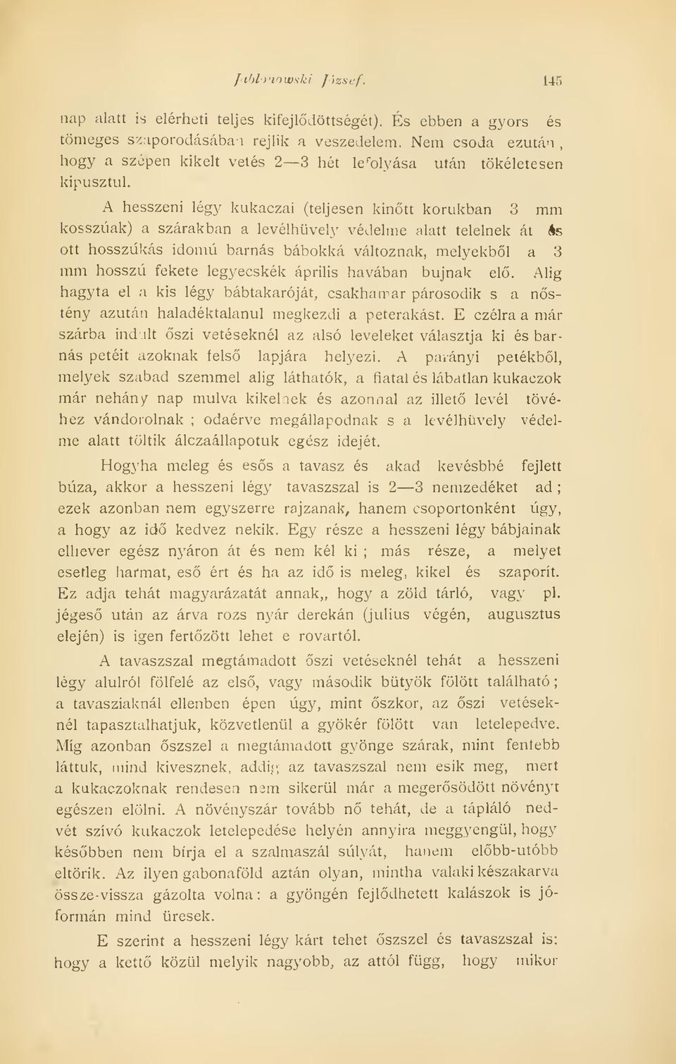 A hesszeni légy kukaczai (teljesen kintt korukban 3 mm kosszúak) a szárakban a levélhüvely védelme alatt telelnek át és ott hosszúkás idomú barnás bábokká változnak, melyekbl a 3 mm hosszú fekete