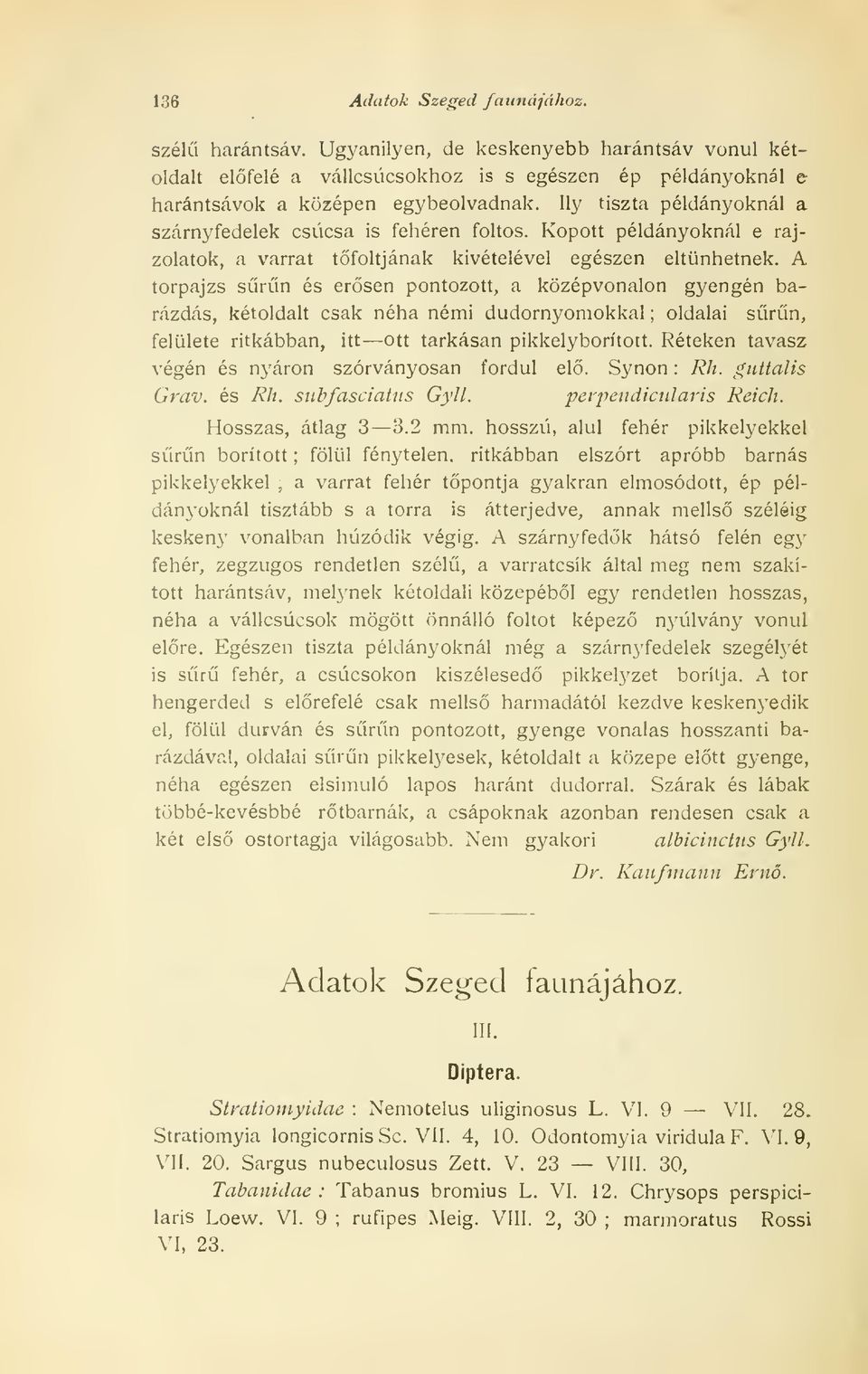 A torpajzs srn és ersen pontozott, a középvonalon gyengén barázdás, kétoldalt csak néha némi dudornyomokkal ; oldalai srn, felülete ritkábban, itt ott tarkásan pikkelyborított.