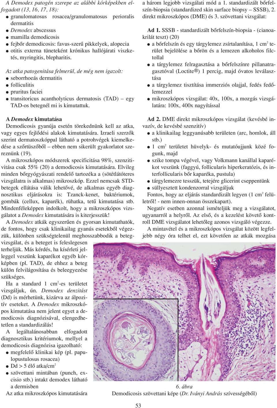 Az atka patogenitása felmerül, de még nem igazolt: seborrhoeás dermatitis folliculitis pruritus faciei transitoricus acantholyticus dermatosis (TAD) egy TAD-os betegnél mi is kimutattuk.