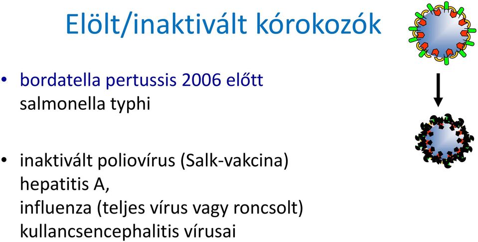(Salk vakcina) hepatitis A, influenza (ejes