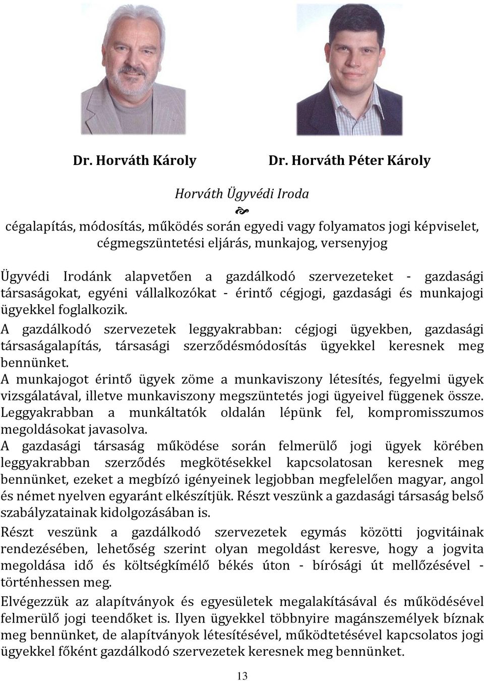 gazdálkodó szervezeteket - gazdasági társaságokat, egyéni vállalkozókat - érintő cégjogi, gazdasági és munkajogi ügyekkel foglalkozik.