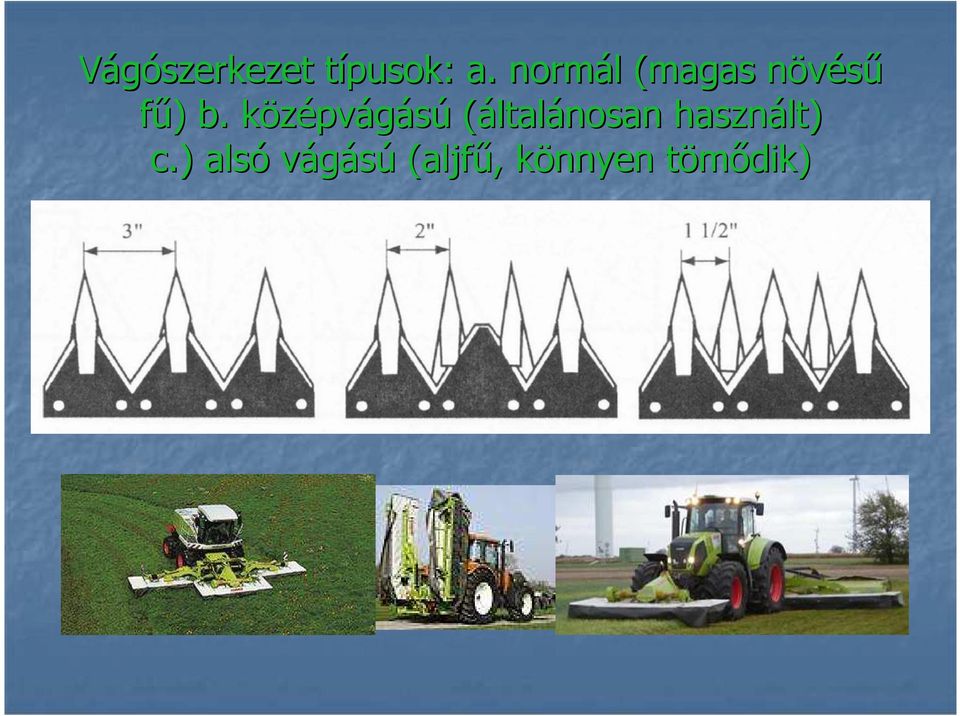 középvágású (általánosan