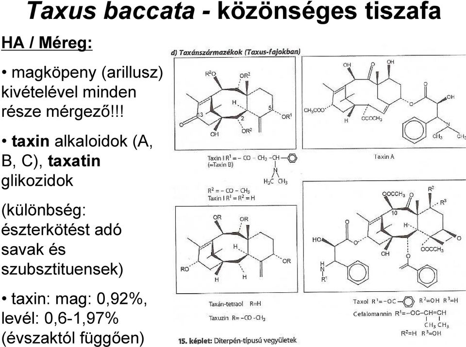 !! taxin alkaloidok (A, B, C), taxatin glikozidok (különbség:
