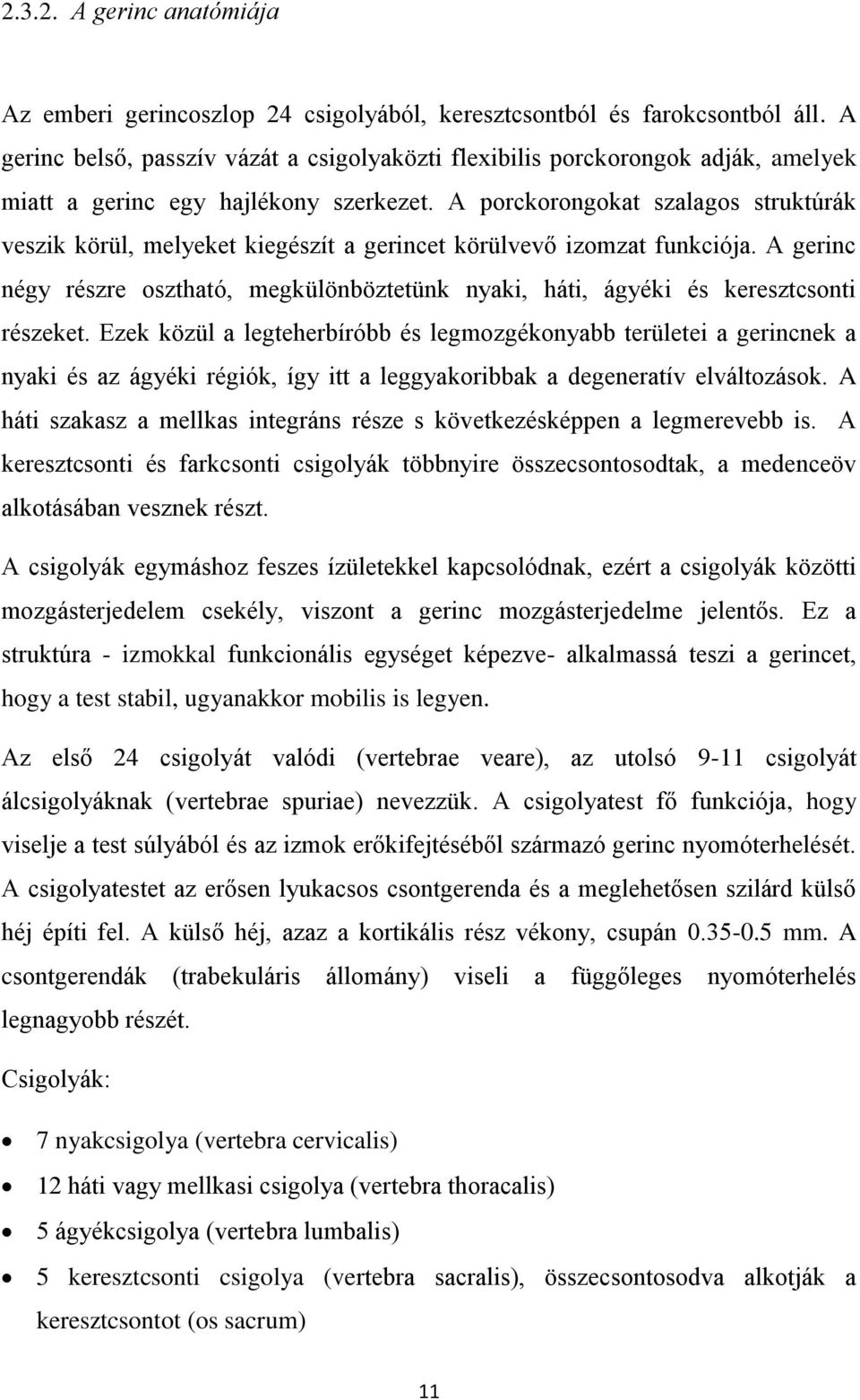 A porckorongokat szalagos struktúrák veszik körül, melyeket kiegészít a gerincet körülvevő izomzat funkciója.