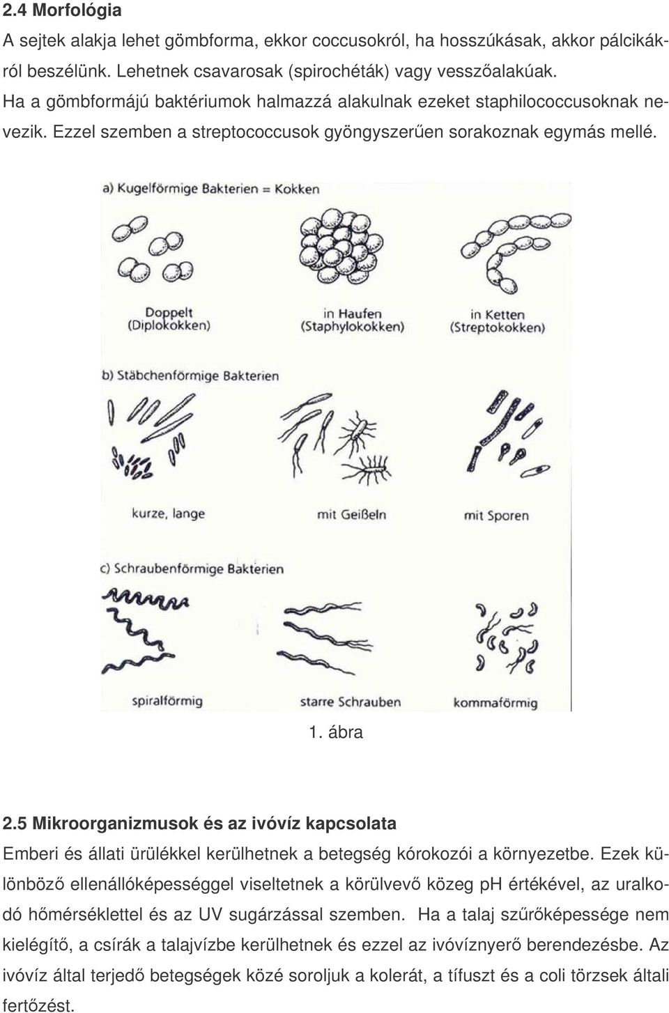 5 Mikroorganizmusok és az ivóvíz kapcsolata Emberi és állati ürülékkel kerülhetnek a betegség kórokozói a környezetbe.