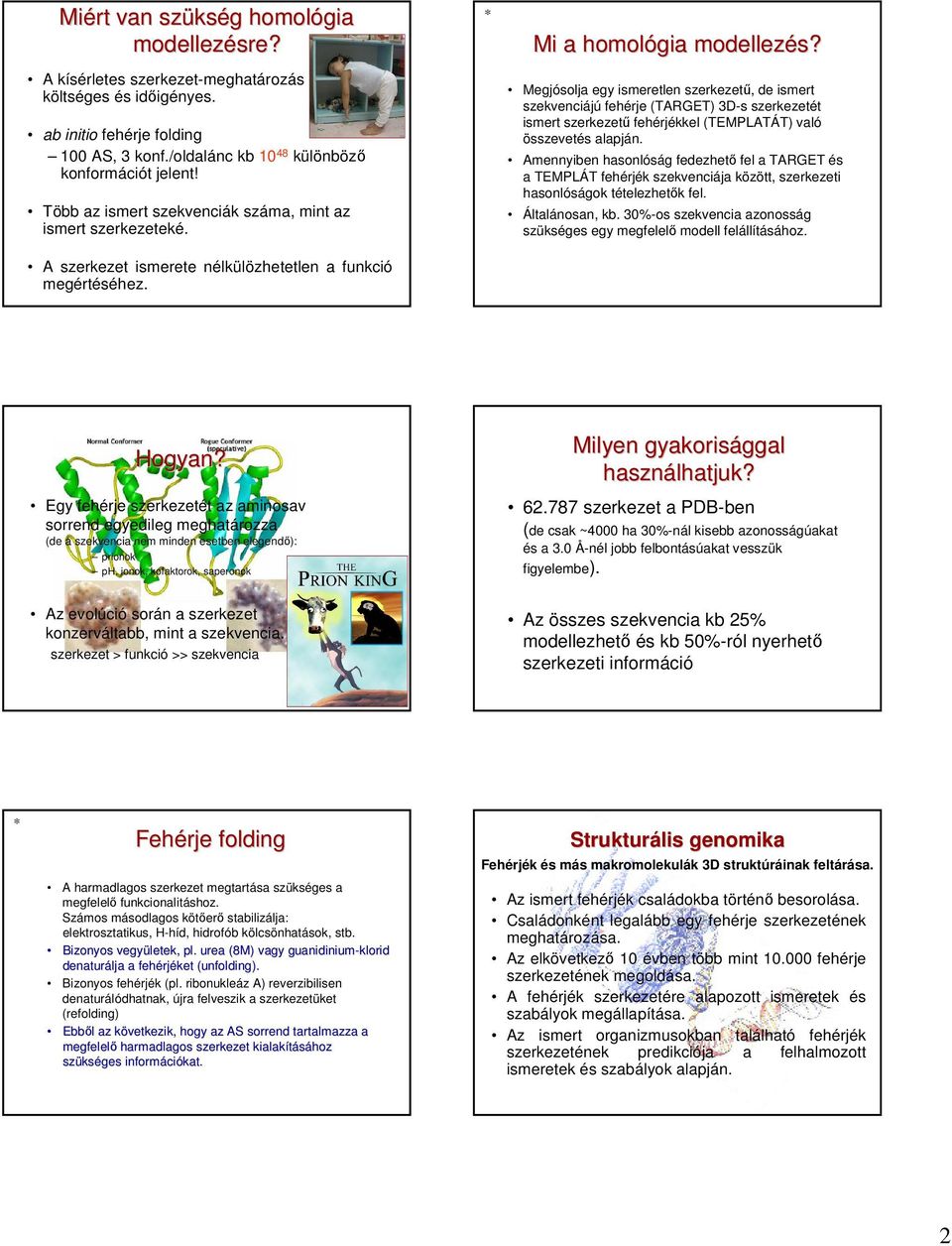 Megjósolja egy ismeretlen szerkezetű, de ismert szekvenciájú fehérje (TARGET) 3D-s szerkezetét ismert szerkezetű fehérjékkel (TEMPLATÁT) való összevetés alapján.