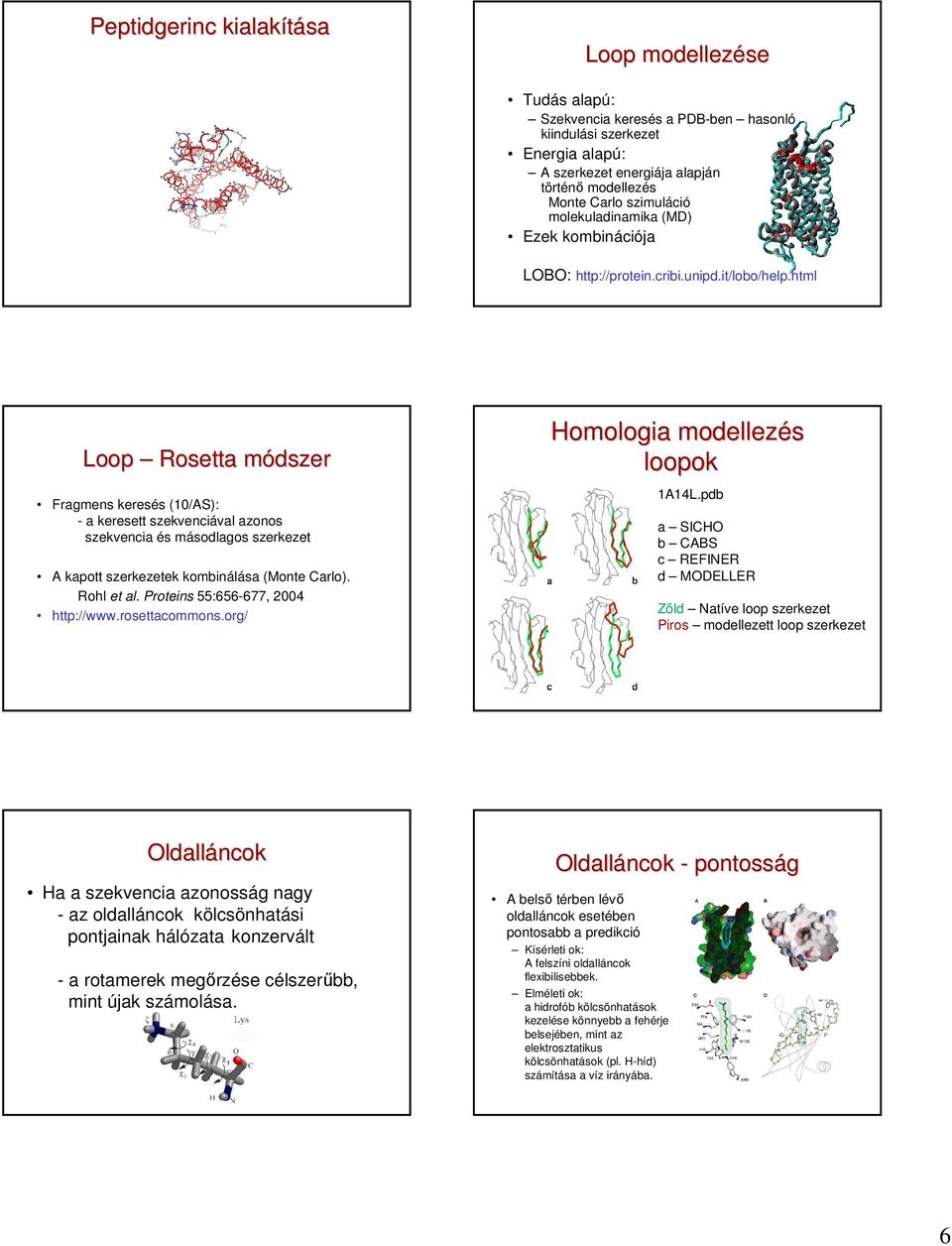 html Loop Rosetta módszer Fragmens keresés (10/AS): - a keresett szekvenciával azonos szekvencia és másodlagos szerkezet A kapott szerkezetek kombinálása (Monte Carlo). Rohl et al.
