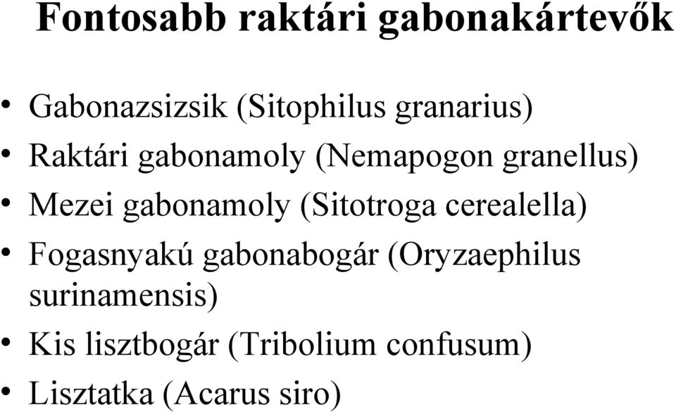 gabonamoly (Sitotroga cerealella) Fogasnyakú gabonabogár