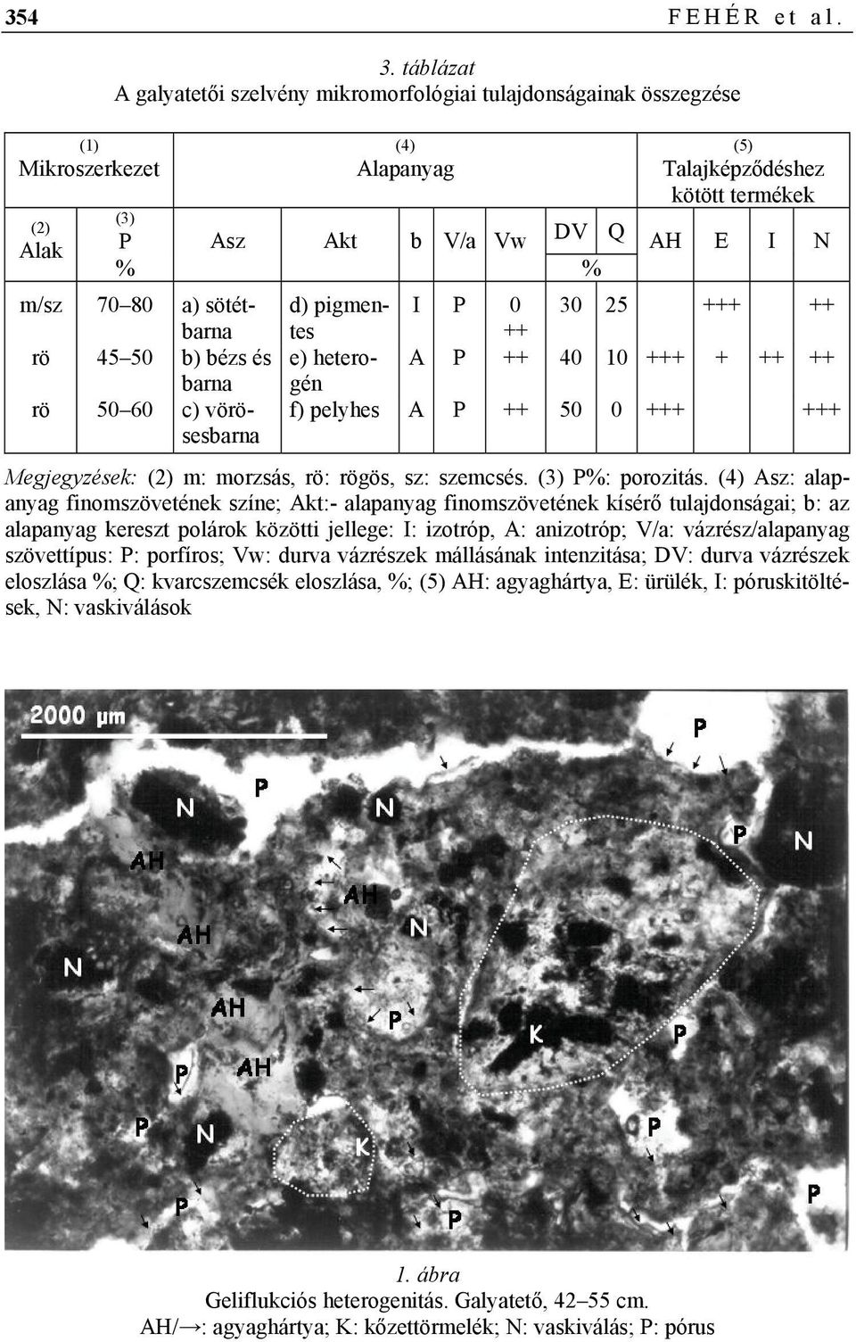 (5) Talajképződéshez kötött termékek AH E I N d) pigmentes I P 0 ++ 30 25 +++ ++ e) heterogén A P ++ 40 10 +++ + ++ ++ f) pelyhes A P ++ 50 0 +++ +++ Megjegyzések: (2) m: morzsás, rö: rögös, sz: