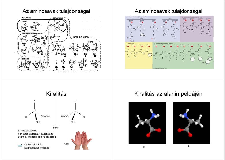 Kiralitásközpont: egy szénatomhoz 4 különböző atom ill.