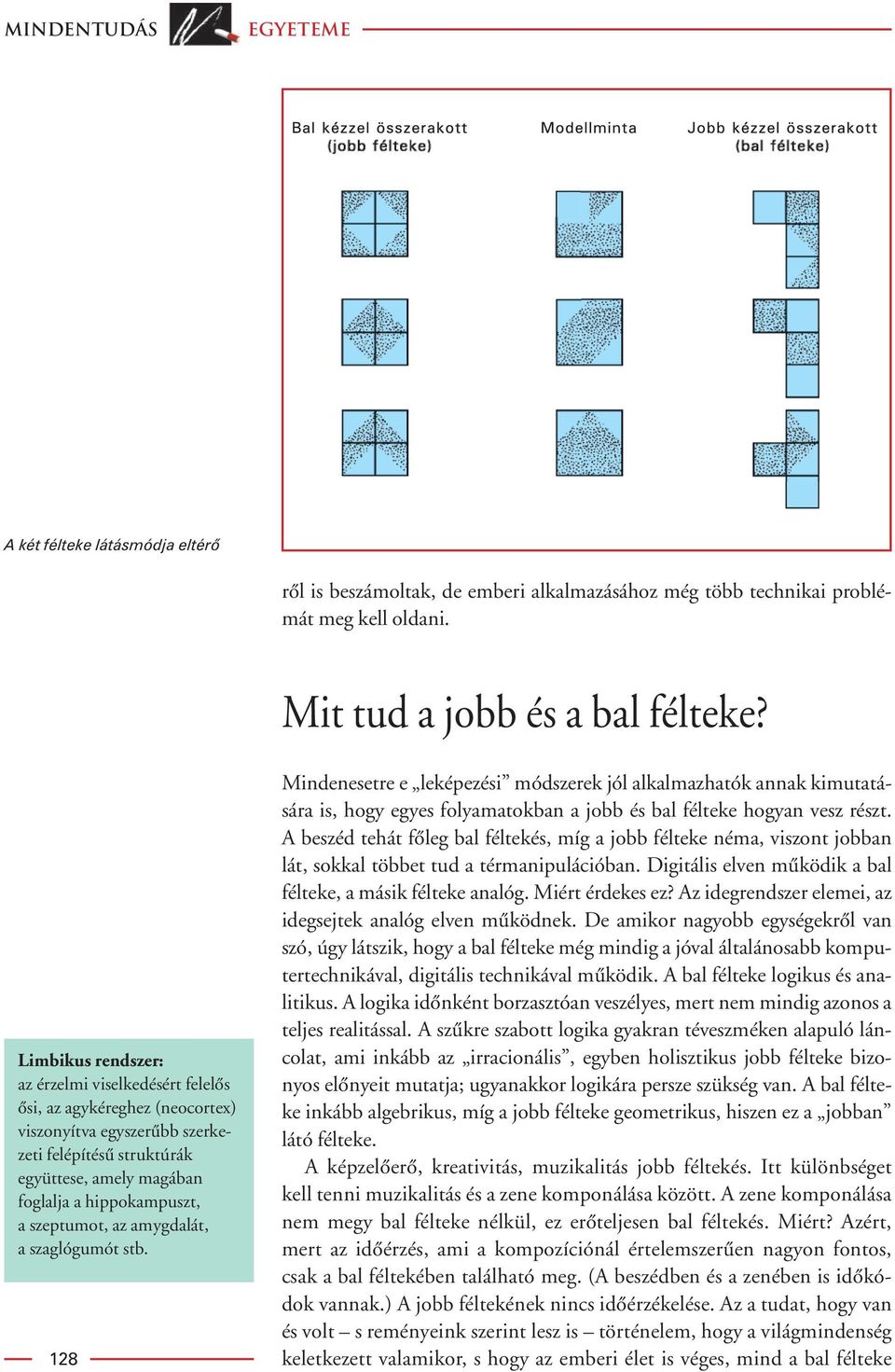 szeptumot, az amygdalát, a szaglógumót stb. 128 Mindenesetre e leképezési módszerek jól alkalmazhatók annak kimutatására is, hogy egyes folyamatokban a jobb és bal félteke hogyan vesz részt.