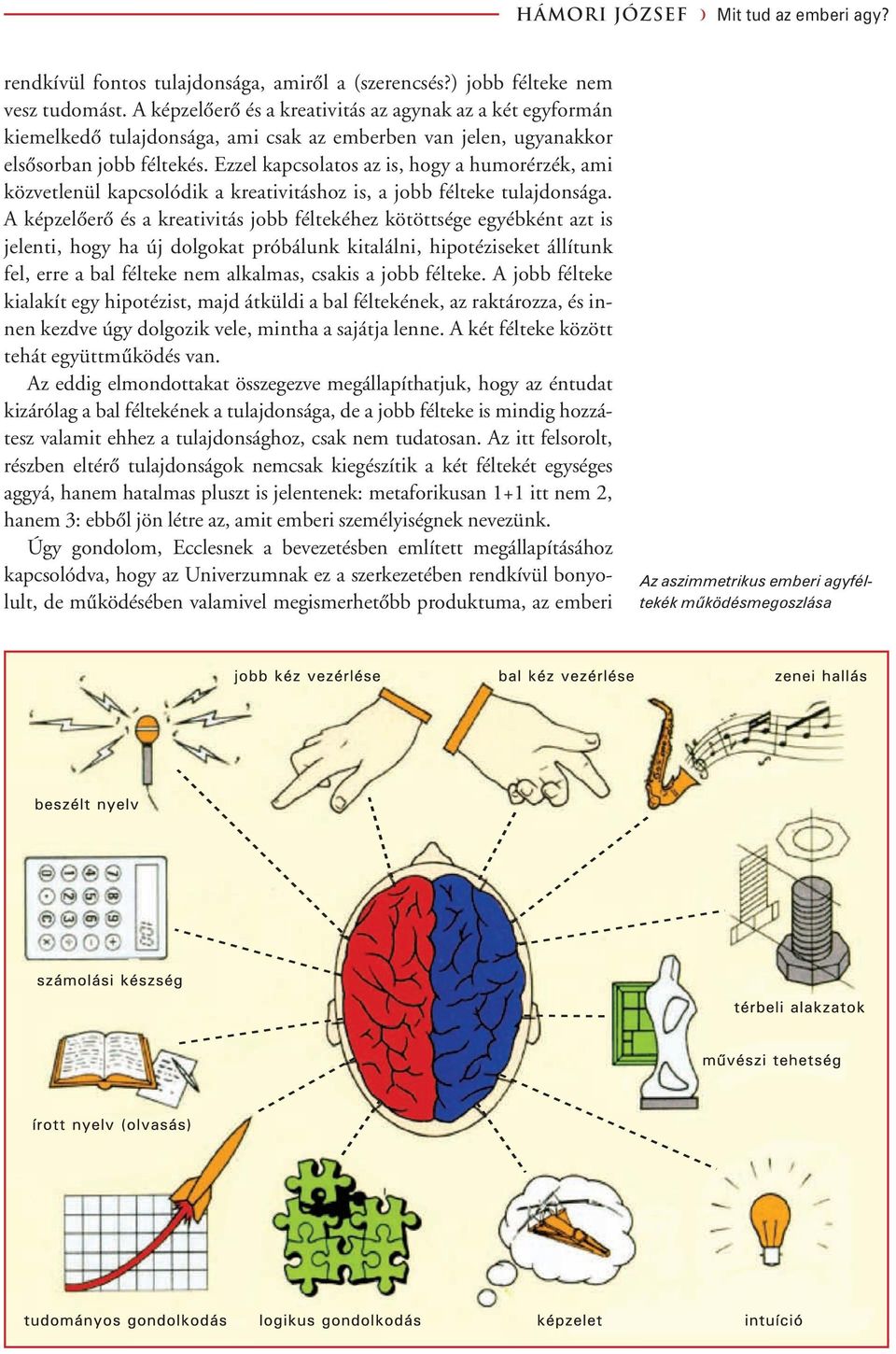 Ezzel kapcsolatos az is, hogy a humorérzék, ami közvetlenül kapcsolódik a kreativitáshoz is, a jobb félteke tulajdonsága.