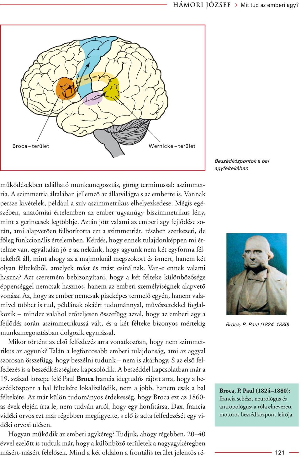 Mégis egészében, anatómiai értelemben az ember ugyanúgy biszimmetrikus lény, mint a gerincesek legtöbbje.