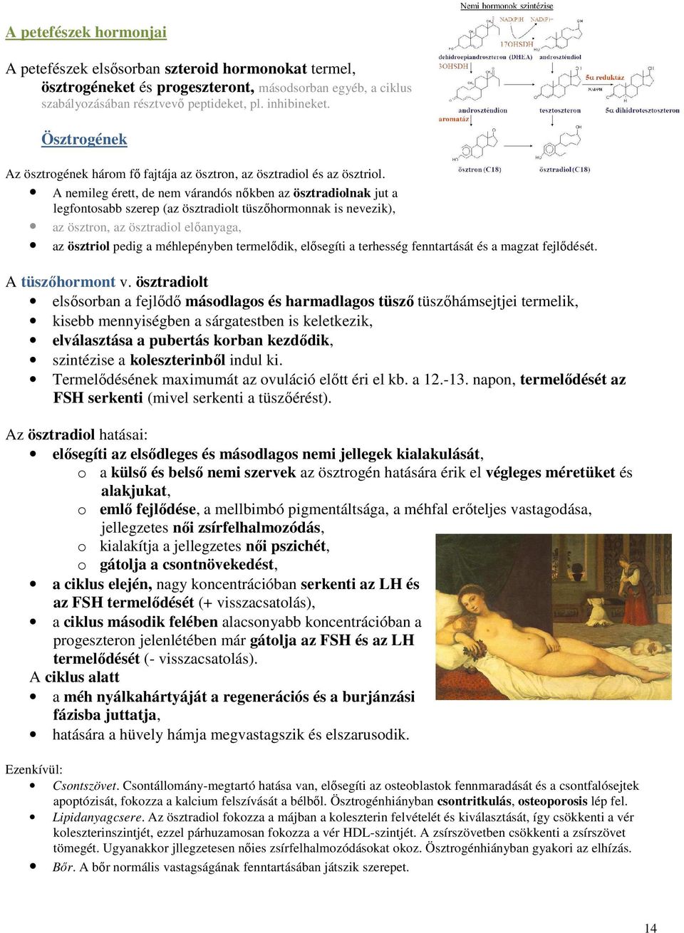 A nemileg érett, de nem várandós nőkben az ösztradiolnak jut a legfontosabb szerep (az ösztradiolt tüszőhormonnak is nevezik), az ösztron, az ösztradiol előanyaga, az ösztriol pedig a méhlepényben