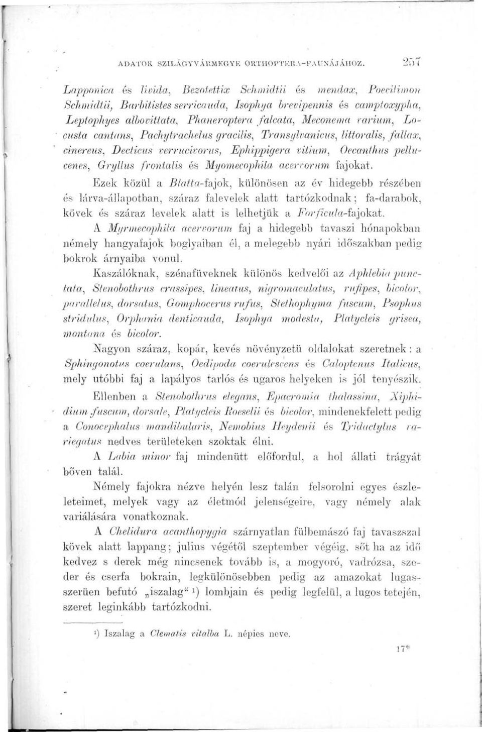 rarium, Locusta cantans, Pachytrachelus gracilis, Transylvanicus, littoralis, fallax, cinereus, Decticas verrucivorus, Ephippigera vithtm, Oeeanthus pellucenes, Gryllus frontalis és Myomecophila