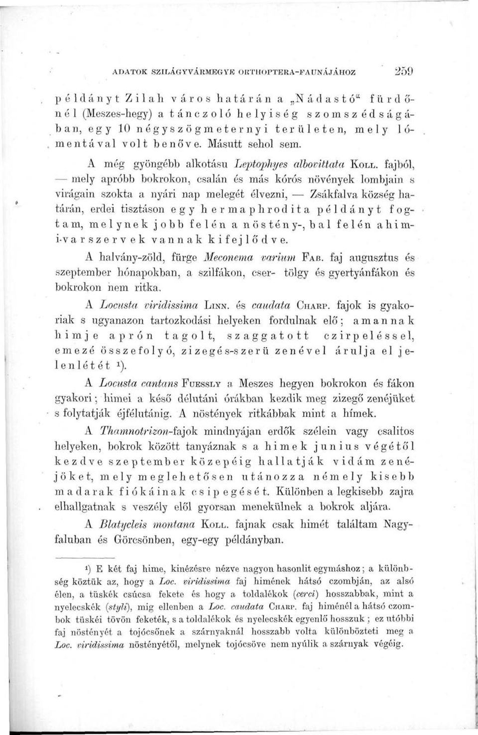 fajból, mely apróbb bokrokon, csalán és más kórós növények lombjain s virágain szokta a nyári nap melegét élvezni, Zsákfalva község határán, erdei tisztáson egy hermaphrodita példányt fogtam, melynek