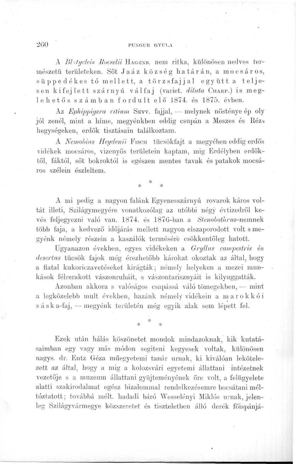 Az Ephippigera vitium SKVV. fajjal, melynek nősténye ép oly jól zenél, mint a hímé, megyénkben eddig csupán a Meszes és Rézhegységeken, erdők tisztásain találkoztam.