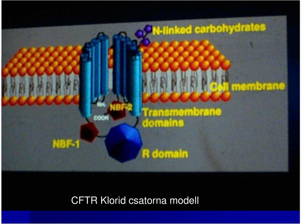 csatorna