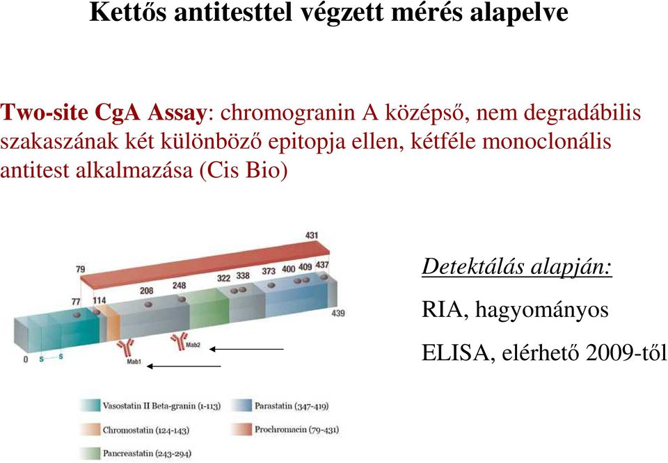 különböző epitopja ellen, kétféle monoclonális antitest