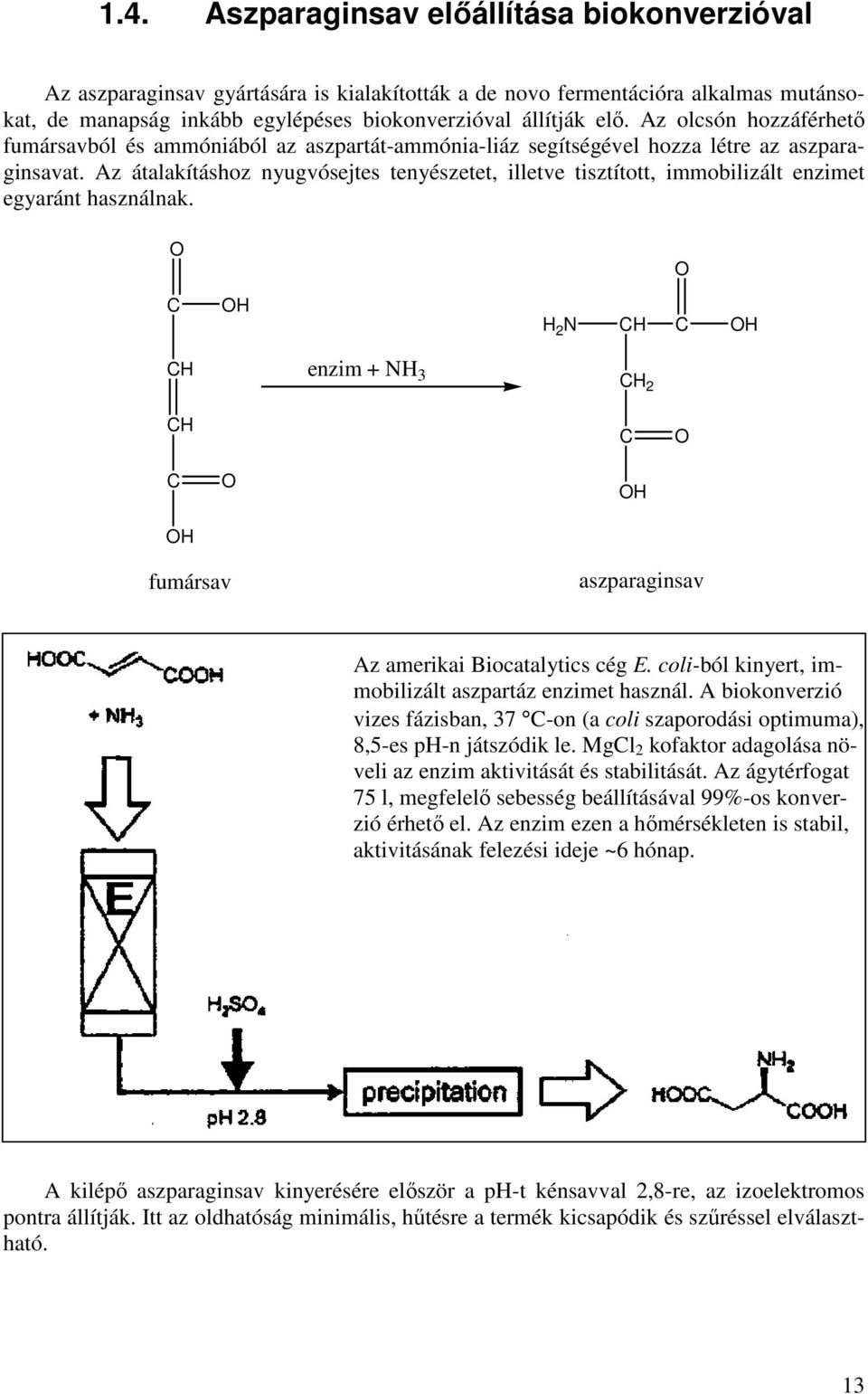 Az átalakításhoz nyugvósejtes tenyészetet, illetve tisztított, immobilizált enzimet egyaránt használnak. H H 2 N H H H enzim + NH 3 H 2 H H H fumársav aszparaginsav Az amerikai Biocatalytics cég E.