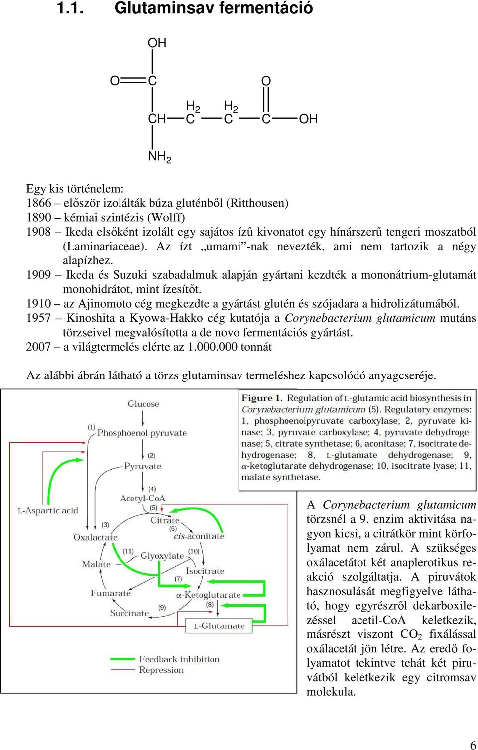 1909 Ikeda és Suzuki szabadalmuk alapján gyártani kezdték a mononátrium-glutamát monohidrátot, mint ízesítőt. 1910 az Ajinomoto cég megkezdte a gyártást glutén és szójadara a hidrolizátumából.